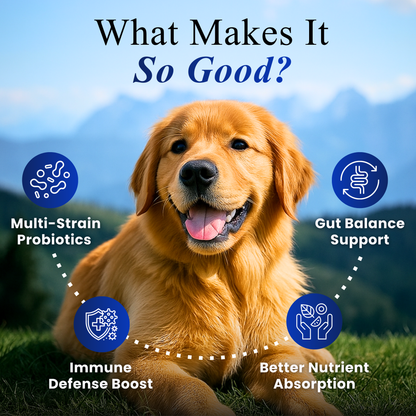 Pre and Probiotics Gut Health Chews for dogs formulated to support digestion, maintain healthy gut flora, and promote overall digestive wellness.