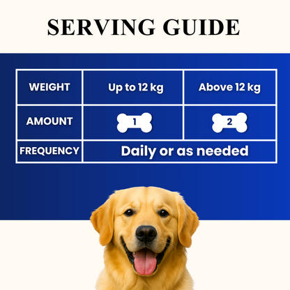 Pre and Probiotics Gut Health Chews for dogs formulated to support digestion, maintain healthy gut flora, and promote overall digestive wellness.