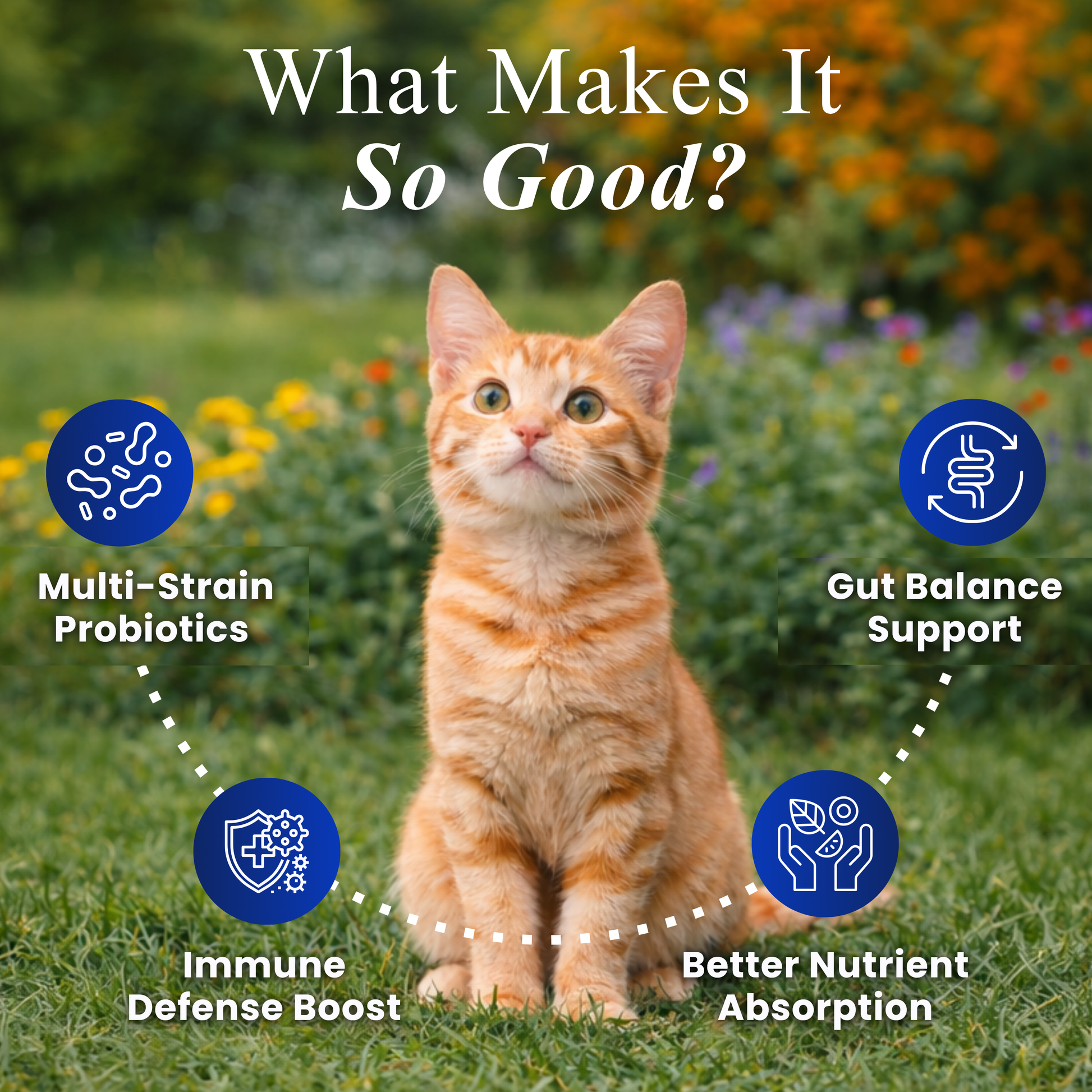 Petroyale Cat Pre + Probiotic & Prebiotic Chews – 9B+ CFU Probiotics for Cats – Cat Gut Health Supplement – Relieves Diarrhea, Improves Digestion & Immunity