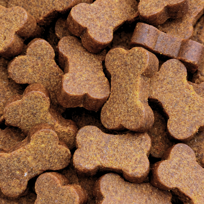 Skin + Coat Omega Chews Dog Supplement