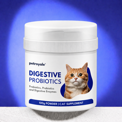 Digestive Probiotics for Cats