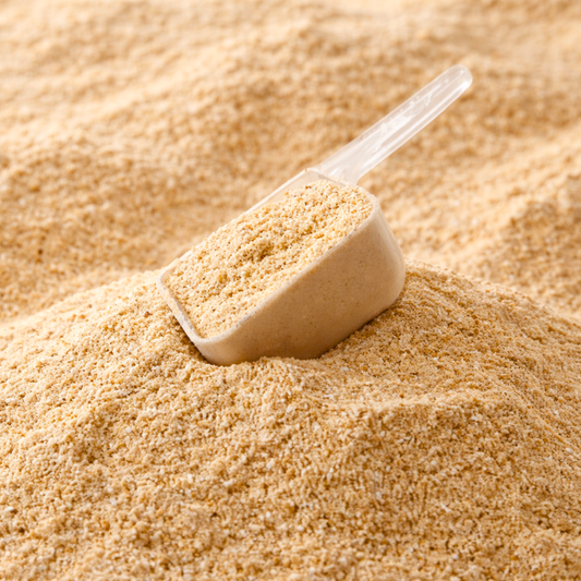 Digestive Probiotics for Dogs